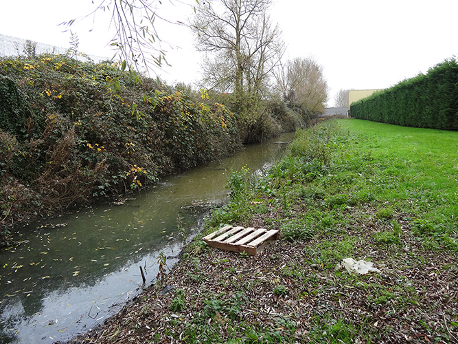 impacts sur milieu naturel, cours d’eau pollué