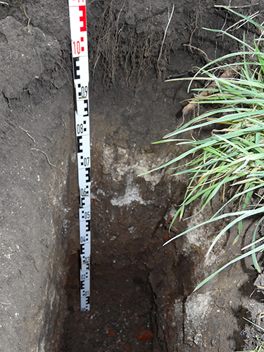 AFNOR ISO 10381-2 AFNORISO 10381-7 programme d'échantillonnage