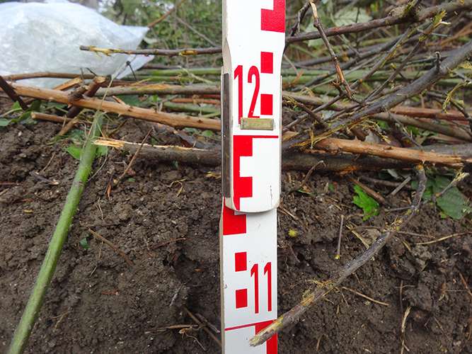 profil Eval phase 1 Eval phase 2