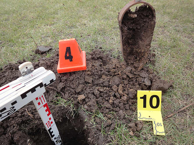 carotte de sol, profil pédologique, zone humide, hydromorphie